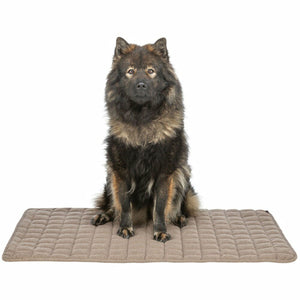 V5H23FD9251498CBE3E36C8C7A82726646DR7463689P8