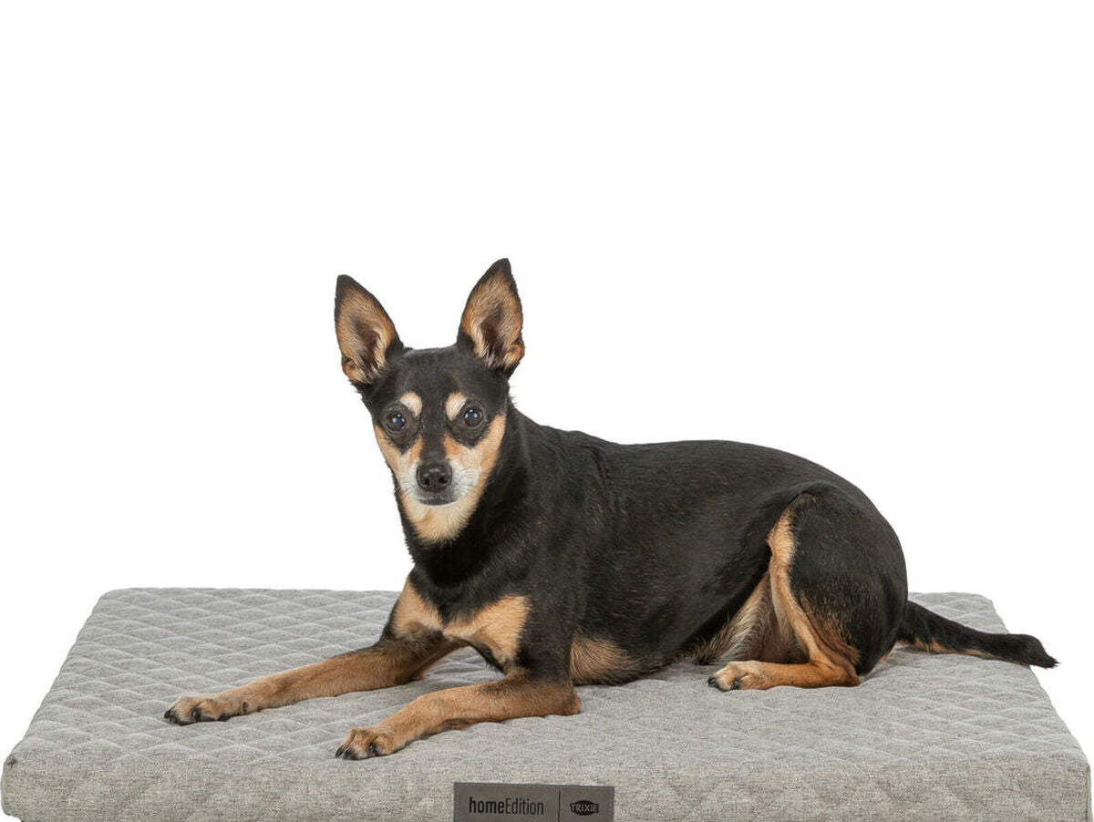 V4H066716BAE9DAB17DAC3BB23A91835E4ER7449512P7