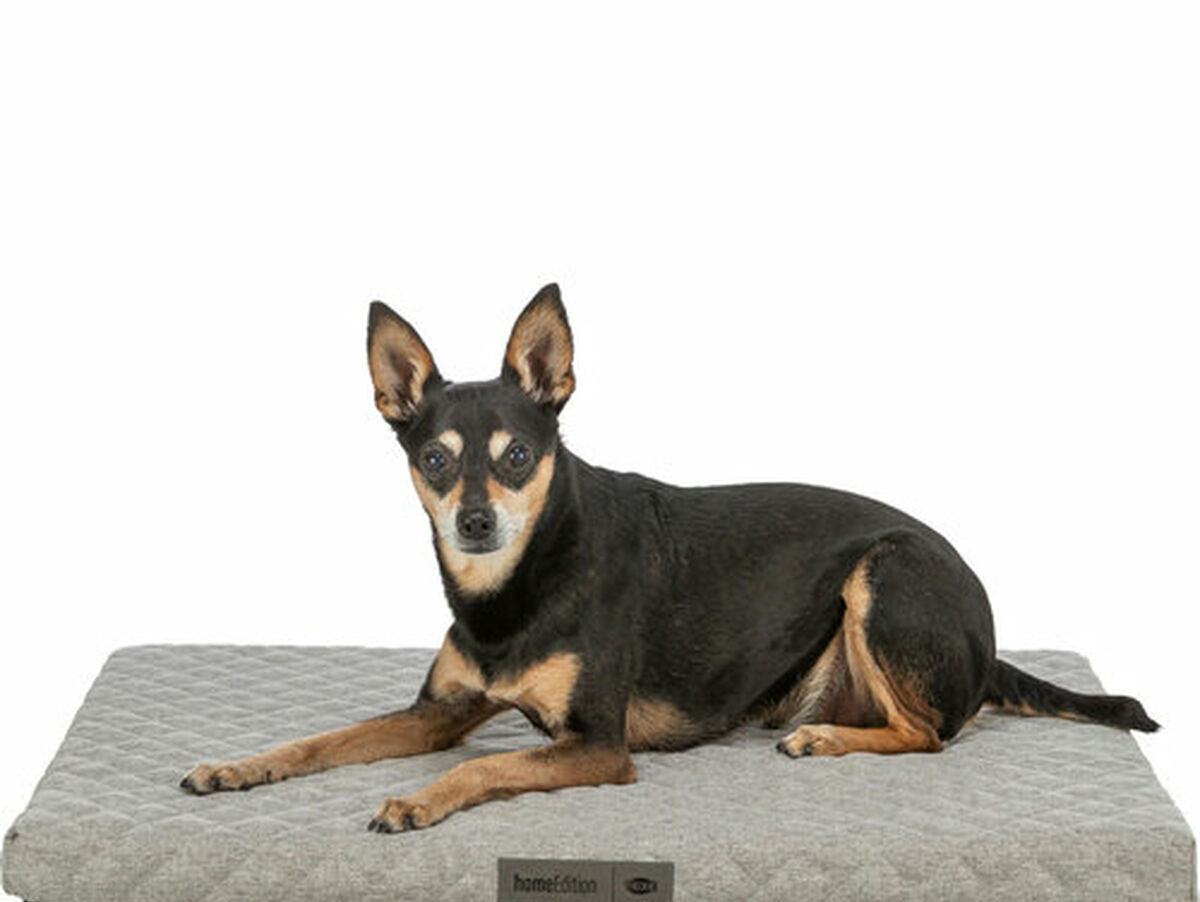 V4H1641AB4572FFA23866D43619BFF5E4A9R7449514P8