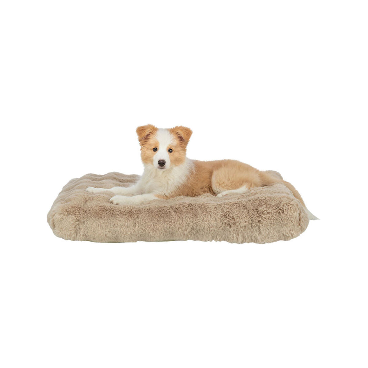 V5HCB16CE0D4824F32DF614297B8CAC6606R7463542P3