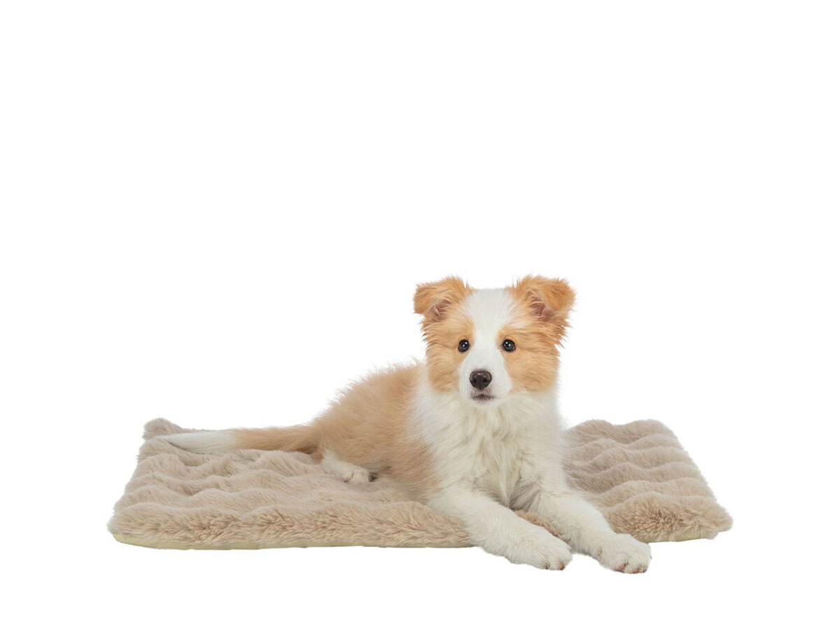 V2H1A7594A11DF5A621B9A2AE736ED7CF68R7610854P2