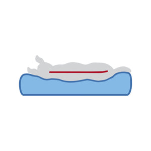 V5H2B1F71504854F1C983BD7904BF7FB87DR7463380P5