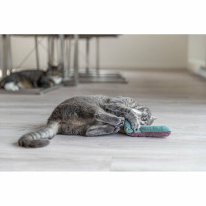 V5H6C54268904FB241B5B937905CDE0A860R7462233P8