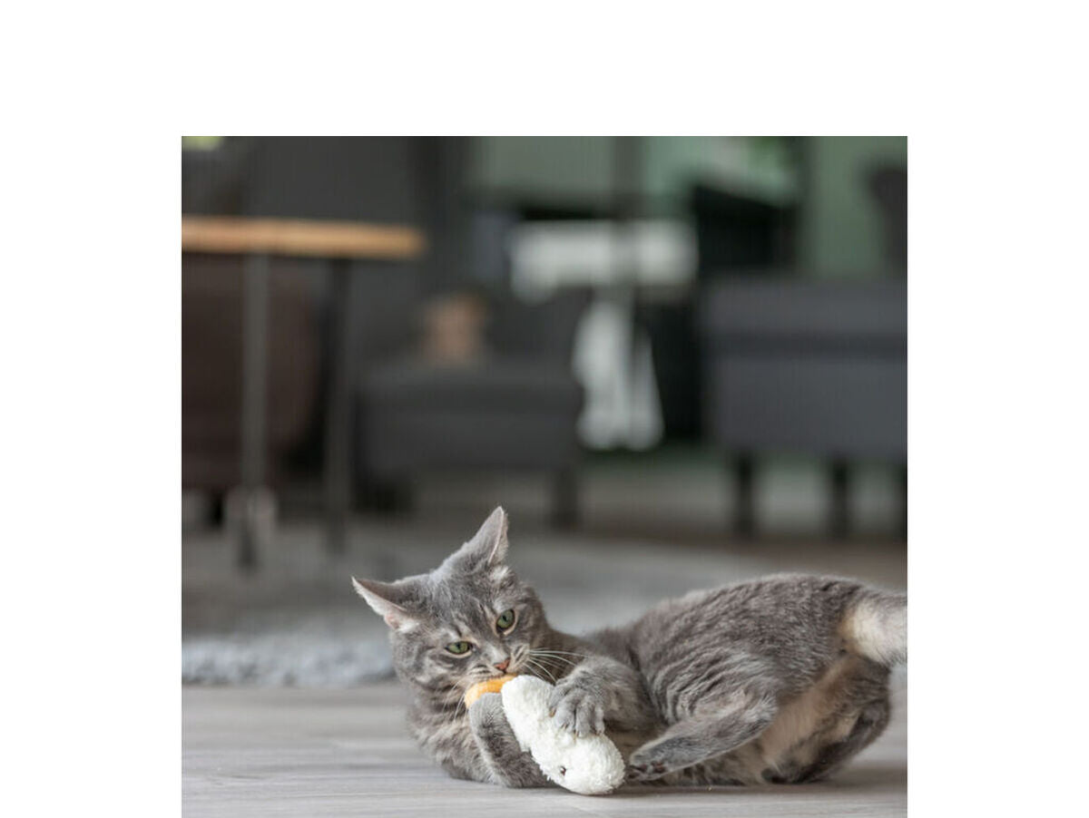 V4HB5531CF919EF967FBF812058B843912DR7463167P7