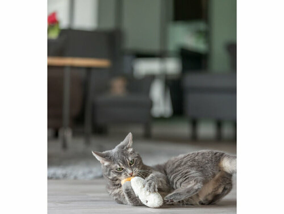 V4H0DD8CDBC1A00A2687EEA588BF424DD52R7463170P8