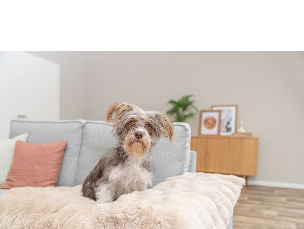 V4H799605160EBA7EA6C914C7DF75301F8ER7472453P5