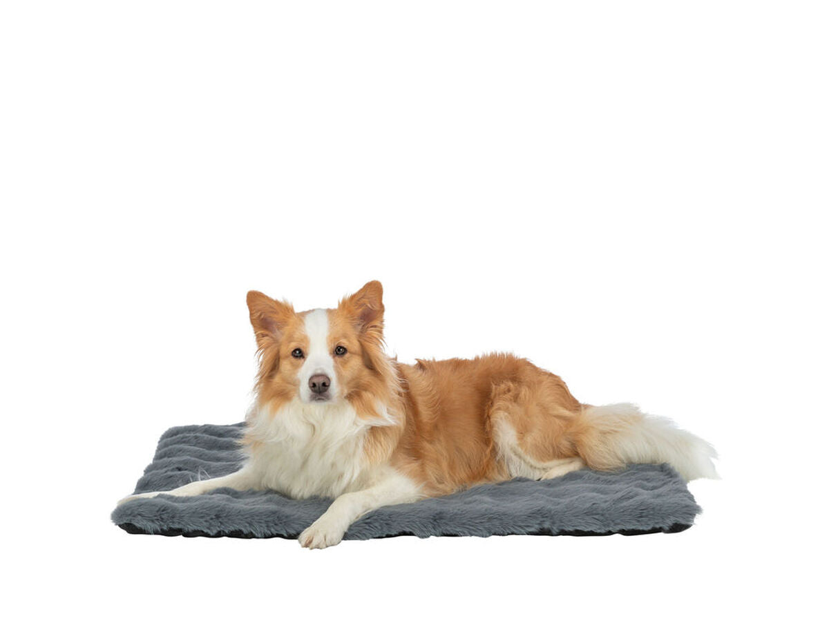 V4HEAD5AA7B68D3879EB49BE96ACA54834DR7543732P2