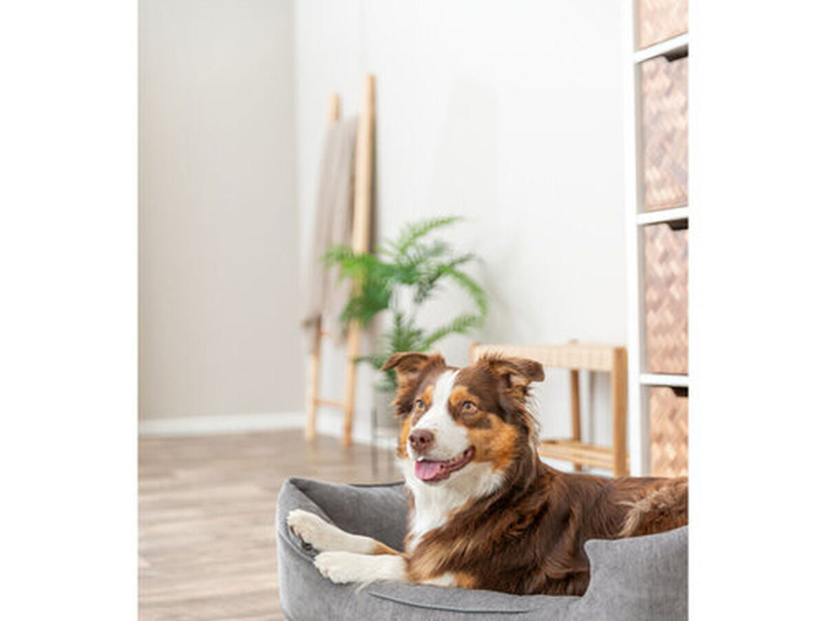 V4H8DCAA951F0E961C99F42877EB88D4F09R7426566P6