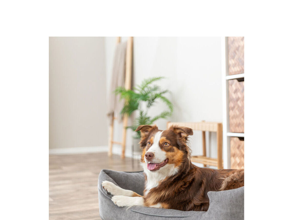 V4H8A9A5FAA414CEF1D683CDD222197CD0FR7425993P5