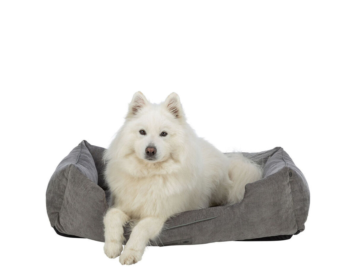 V4H8ABFB35A3B4AE021055C1A352ECFD4C2R7425995P7