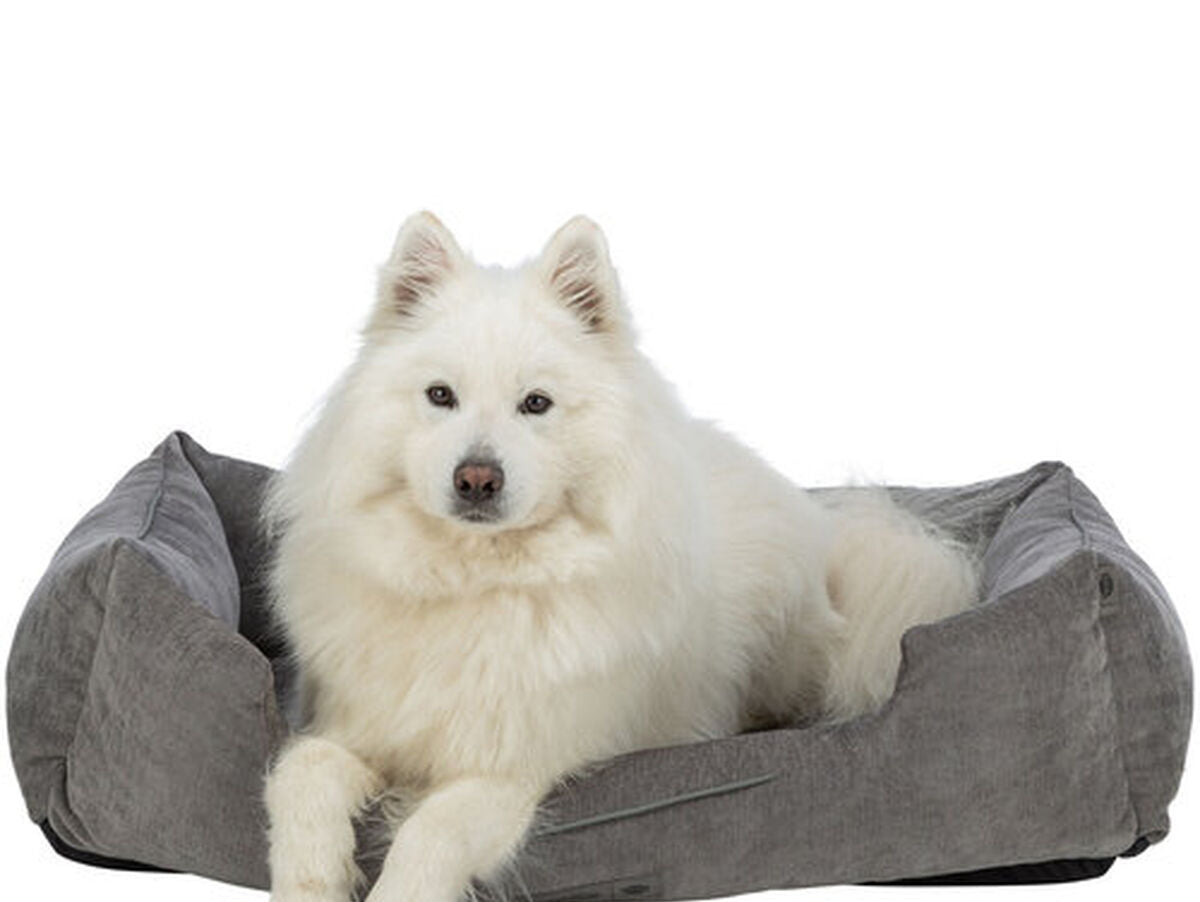 V4HEB7F411F97749BC2E08F099CFD7211CCR7425996P8