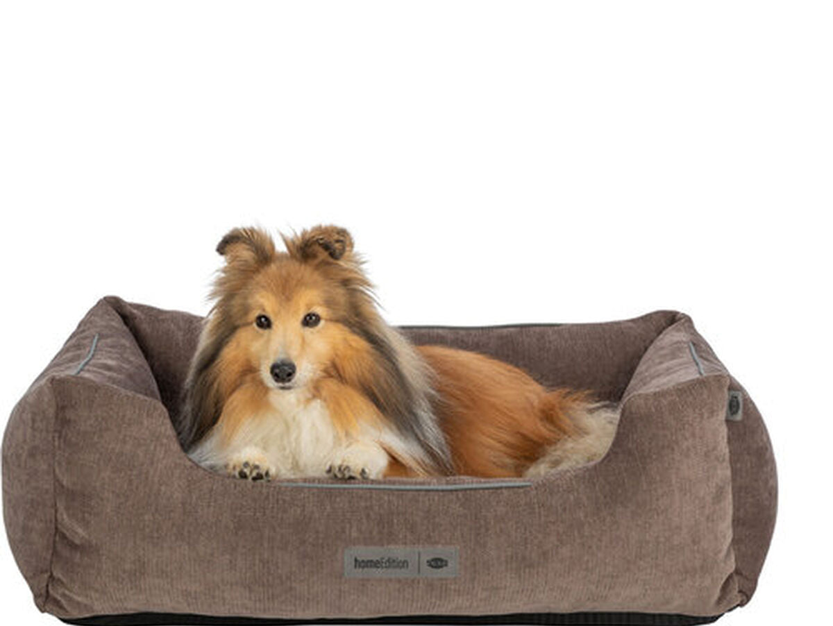 V4H287F3677F4E4A7EDA3DB68F86AE5C34ER7426061P6