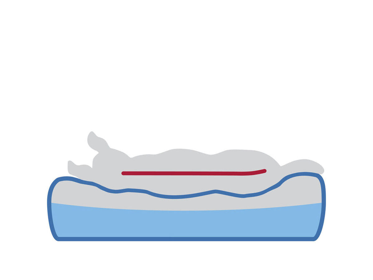 V5H1DF8136B0B35DA0E5C9DF2B5DE06A0D0R7429394P7