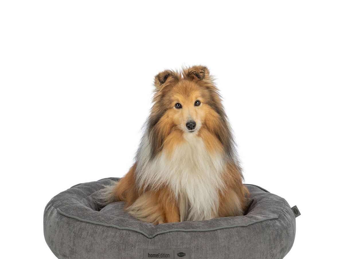 V4H8C9F1525FD0582D20CA7D7948349A28BR7426641P5