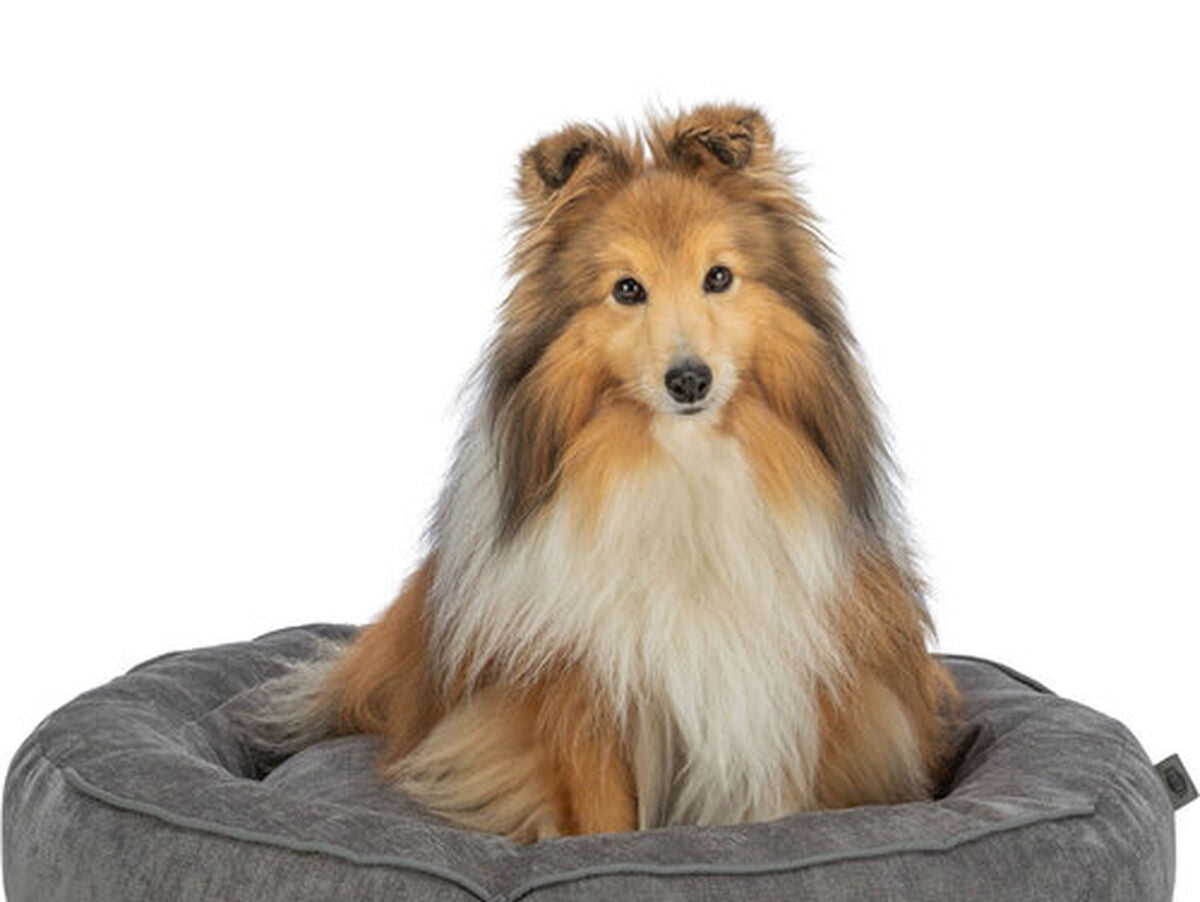 V4HE3A9BFAB0EAA8F2F30DE571003B19F06R7426667P6