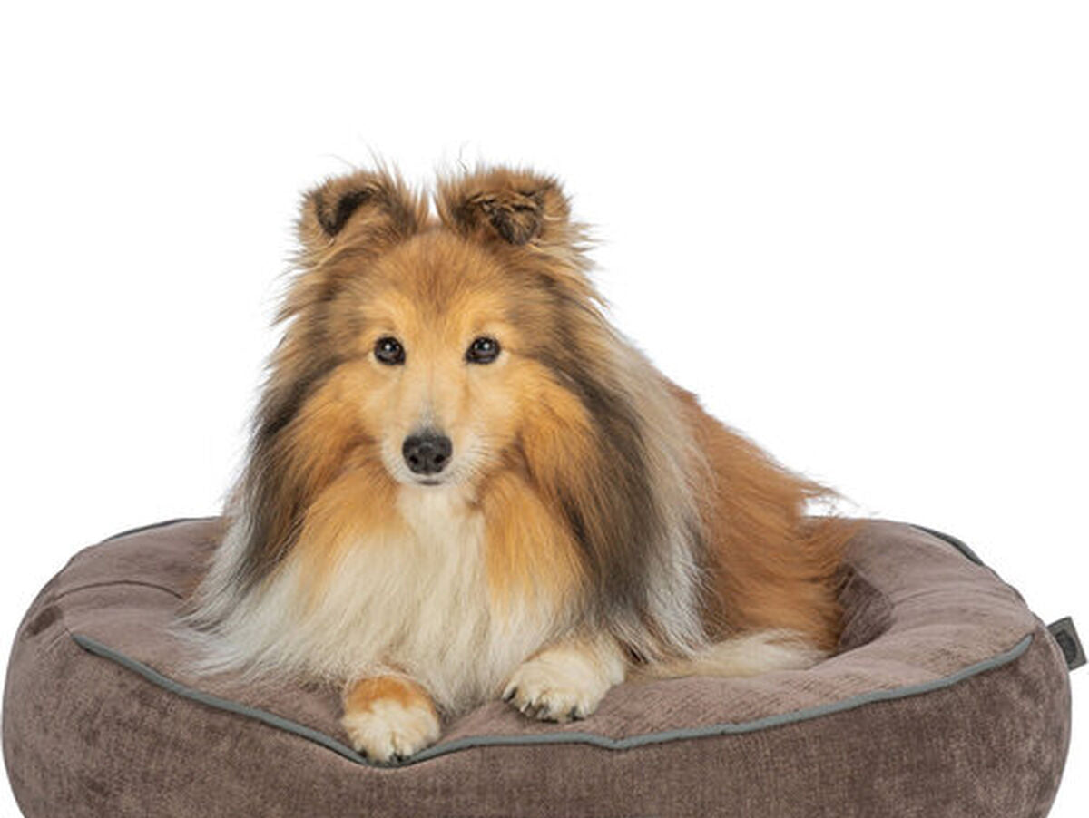 V4HB7075DA20D860DB0D89EFDBA6342A0BBR7426528P5