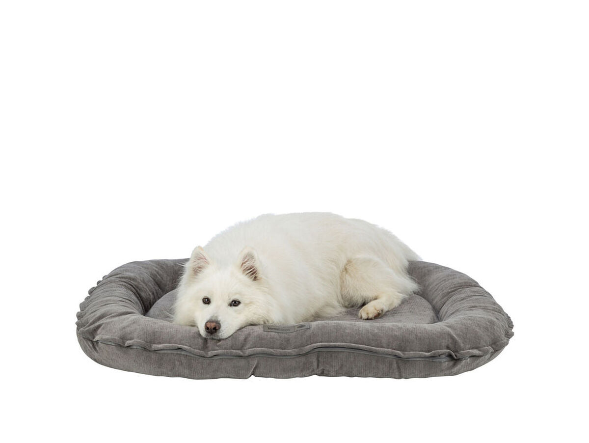 V3HD0DC7C47BB66E1BBEB6561518C81DCAAR7565599P2