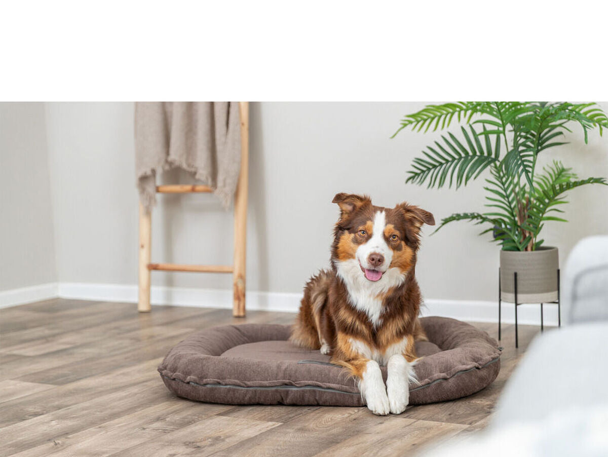 V3HC9B3A22D9218A2CBED394F8BD5BE0F61R7565621P5