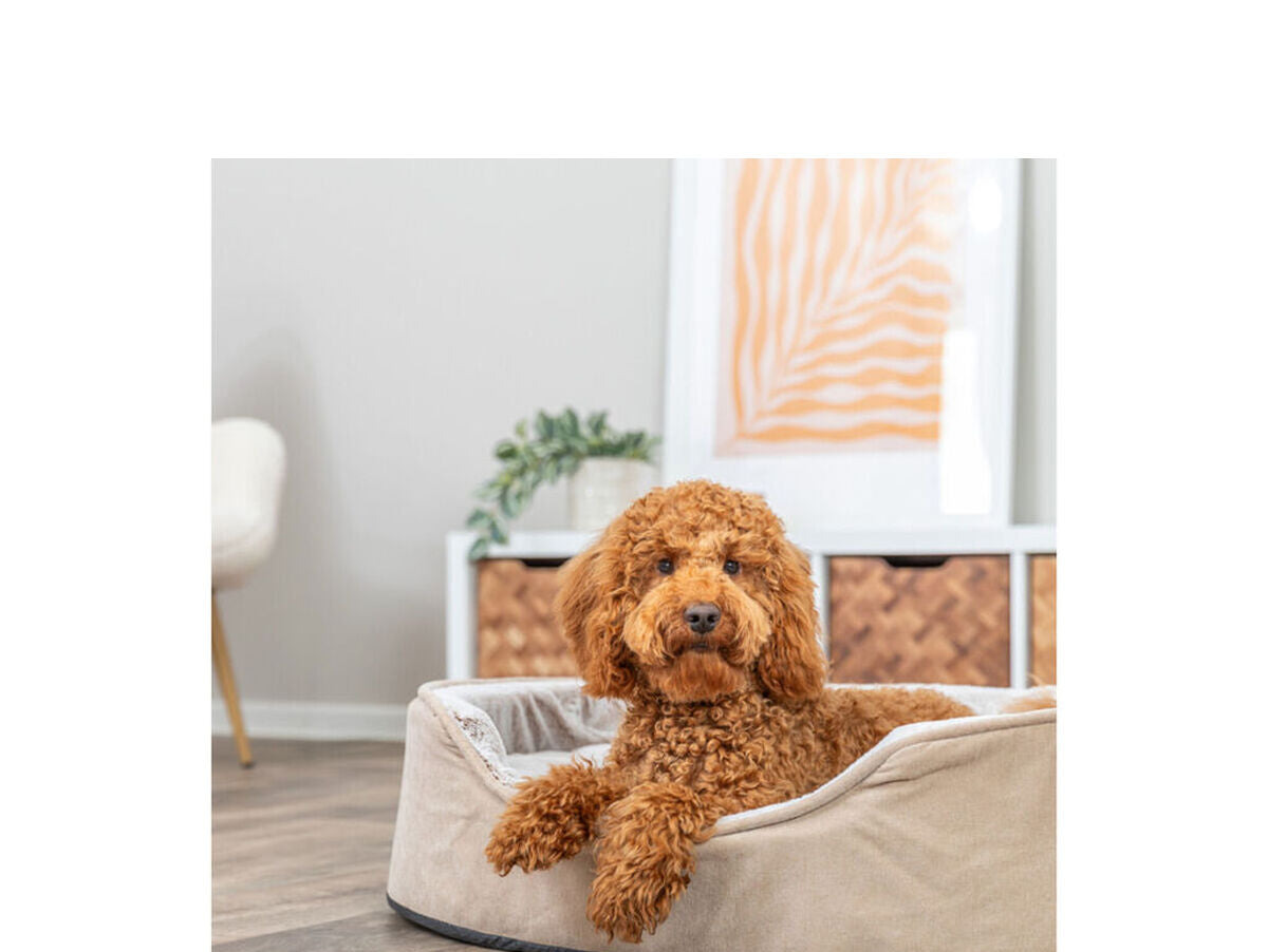 V4H2421475C925482CC686F30434095C627R7472340P6