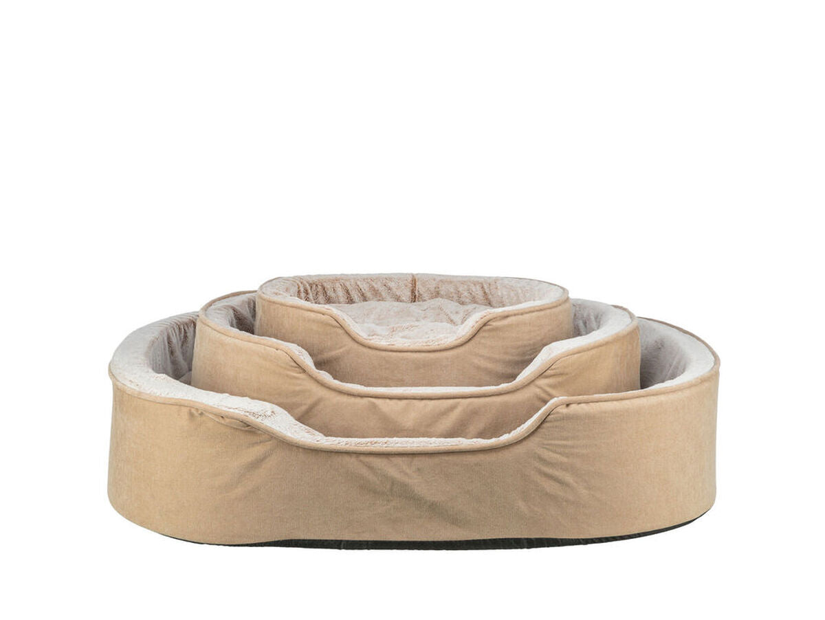 V4H834CF431F072EA569E0A2C2768BC0558R7472328P2