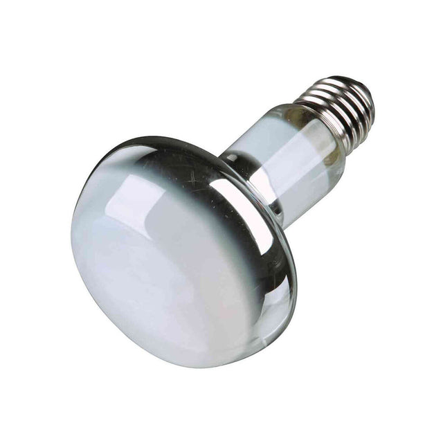 V4H58BDF30862FED68ED7FFB322ADD4CFB7R7444768P1