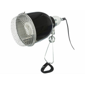 V6HA40DEADB54A5C50555B89272AAA19FBER7446566P1