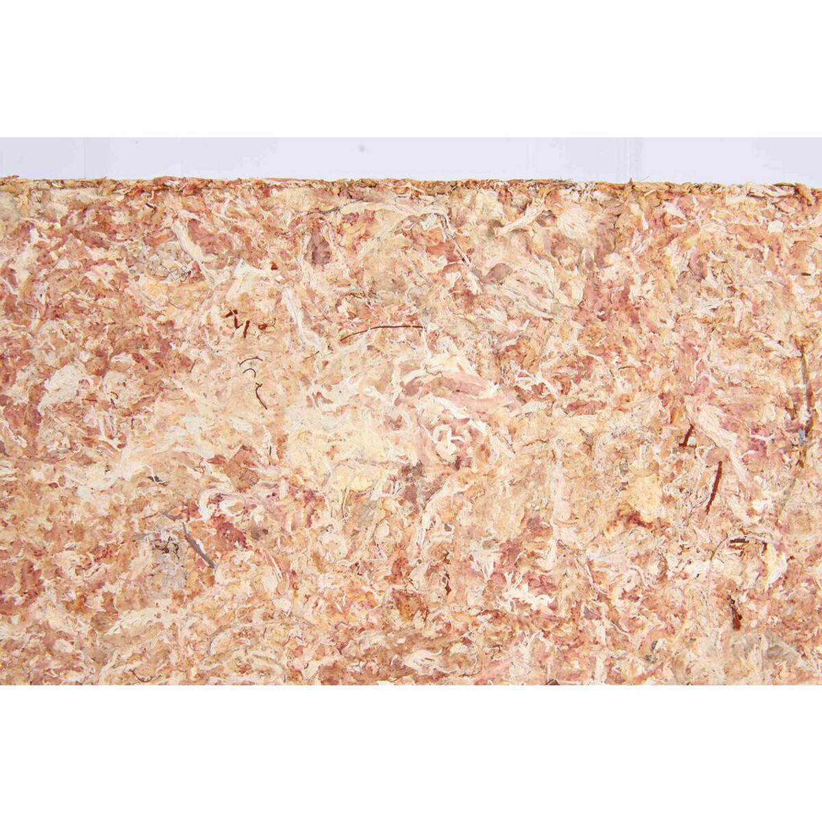 V4H2B0B2E6F608626570D0137F853335918R7446466P5