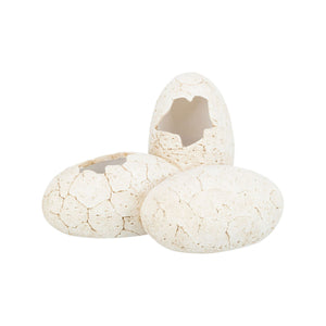 V6H4D3F43D36BFE589FA53012F57CA7793AR7455824P1