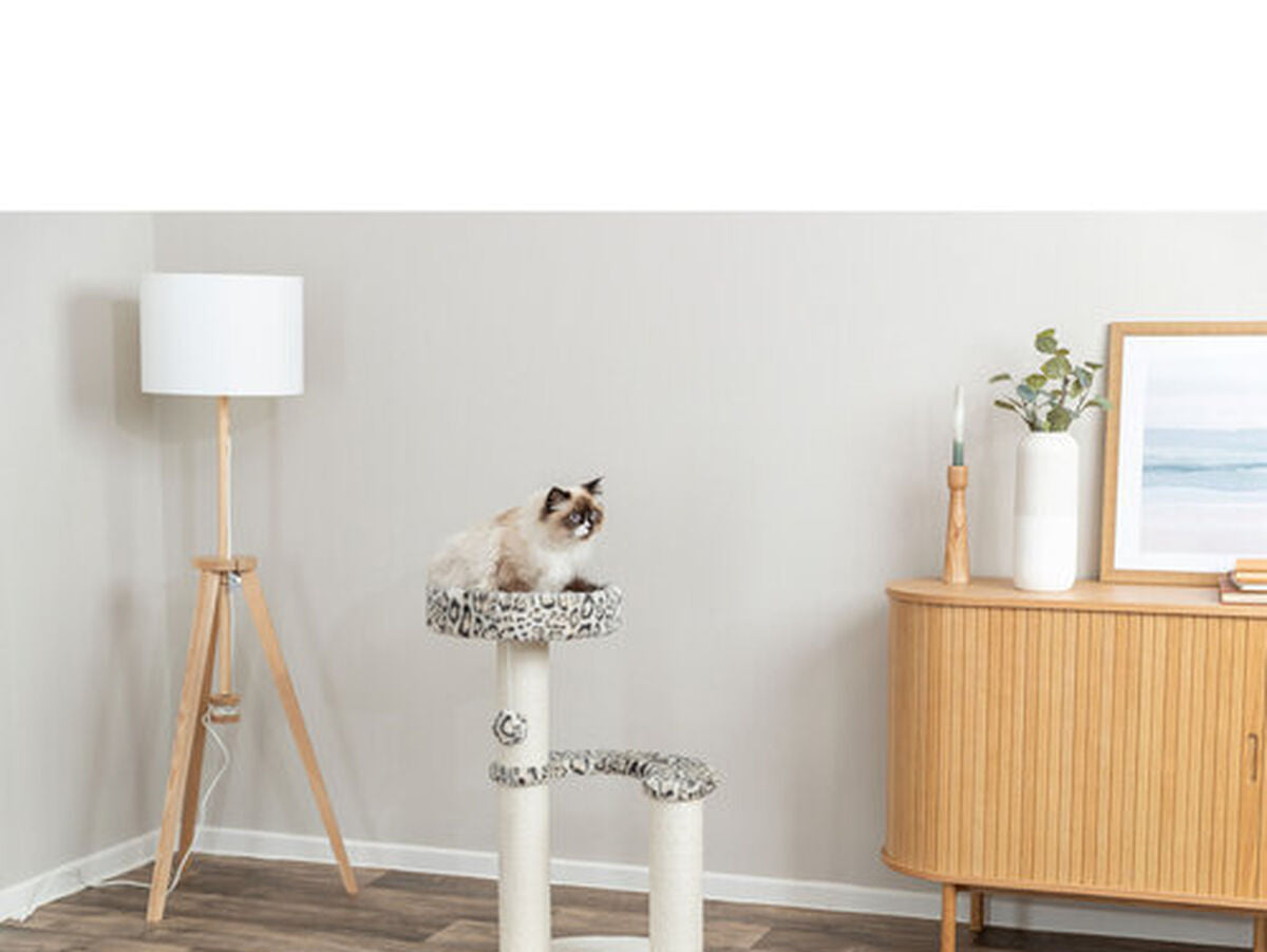 V4HAB859E554C0C681DBA25246A350BEA62R7428854P6