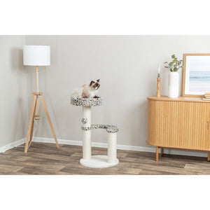 V4HAB859E554C0C681DBA25246A350BEA62R7428854P6