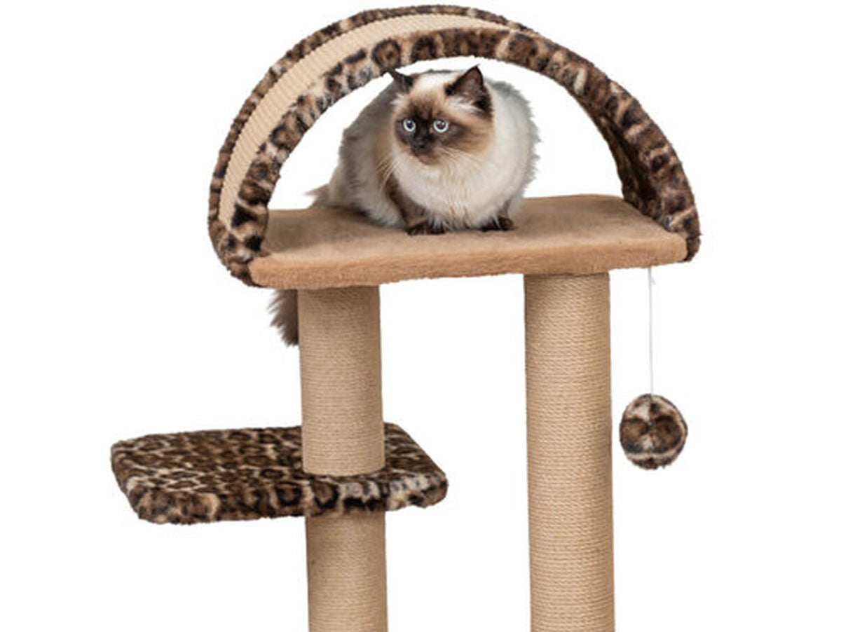 V4H7D8FEBC35341EAE659D4EA0B67EF3902R7428856P2