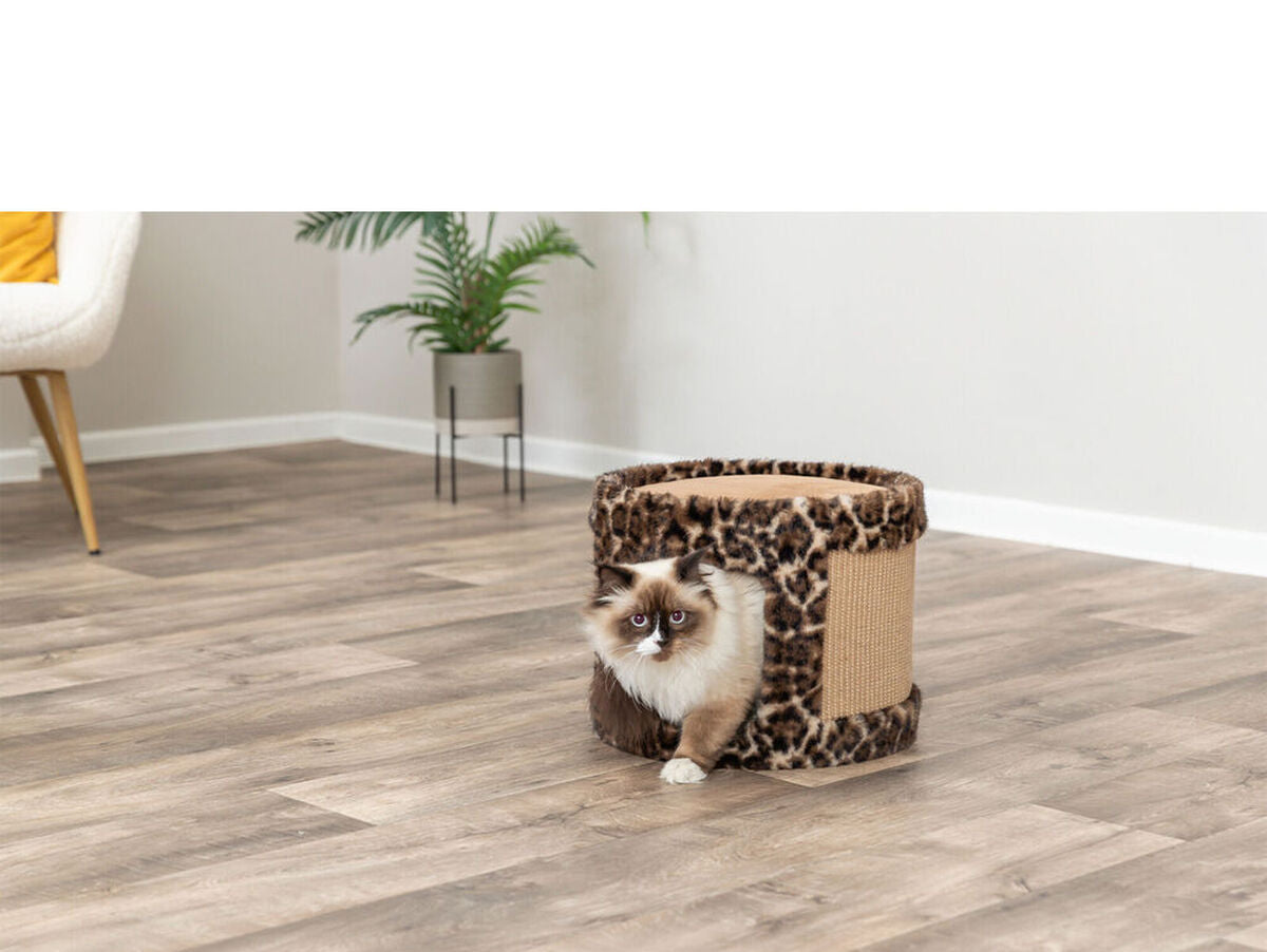 V4H0F10AD13E0F55D47609DB99C23FA1F47R7429203P3