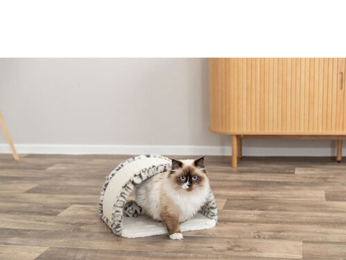 V4H2F9F652238D92A41E2BE85C644995637R7431709P6