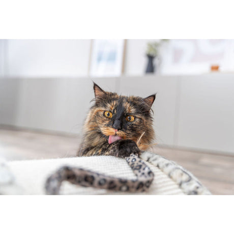 V2HA822D48794574151F126AB7E6123242ER7431711P7