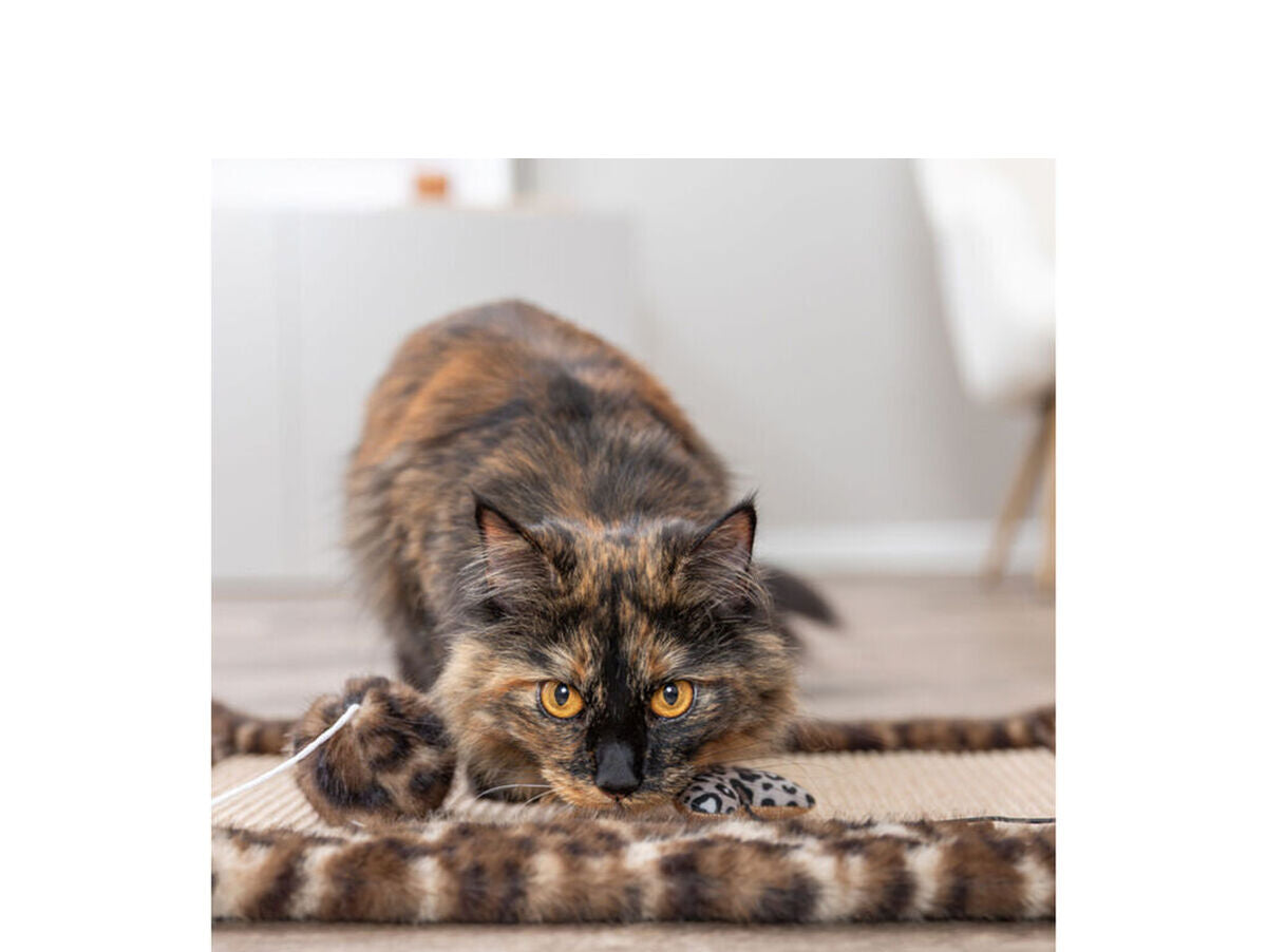 V4HCD30EB6EFD270C69D02CE708A63D212AR7427570P7