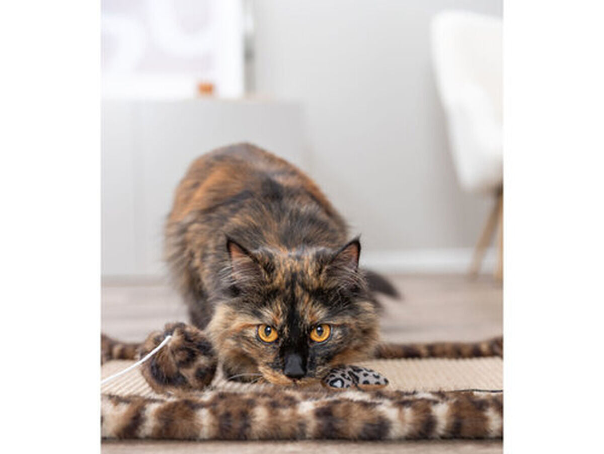 V4HF81AE2244558C6E1242EDCACF9378BC2R7427571P8