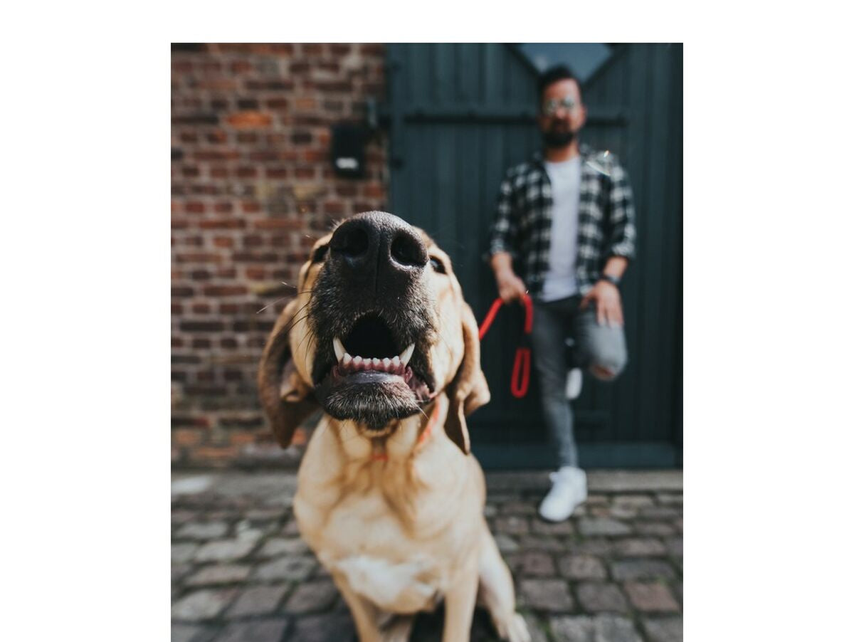 V10H59CA0E1077D61A2492F93A398C477369R2351742P3