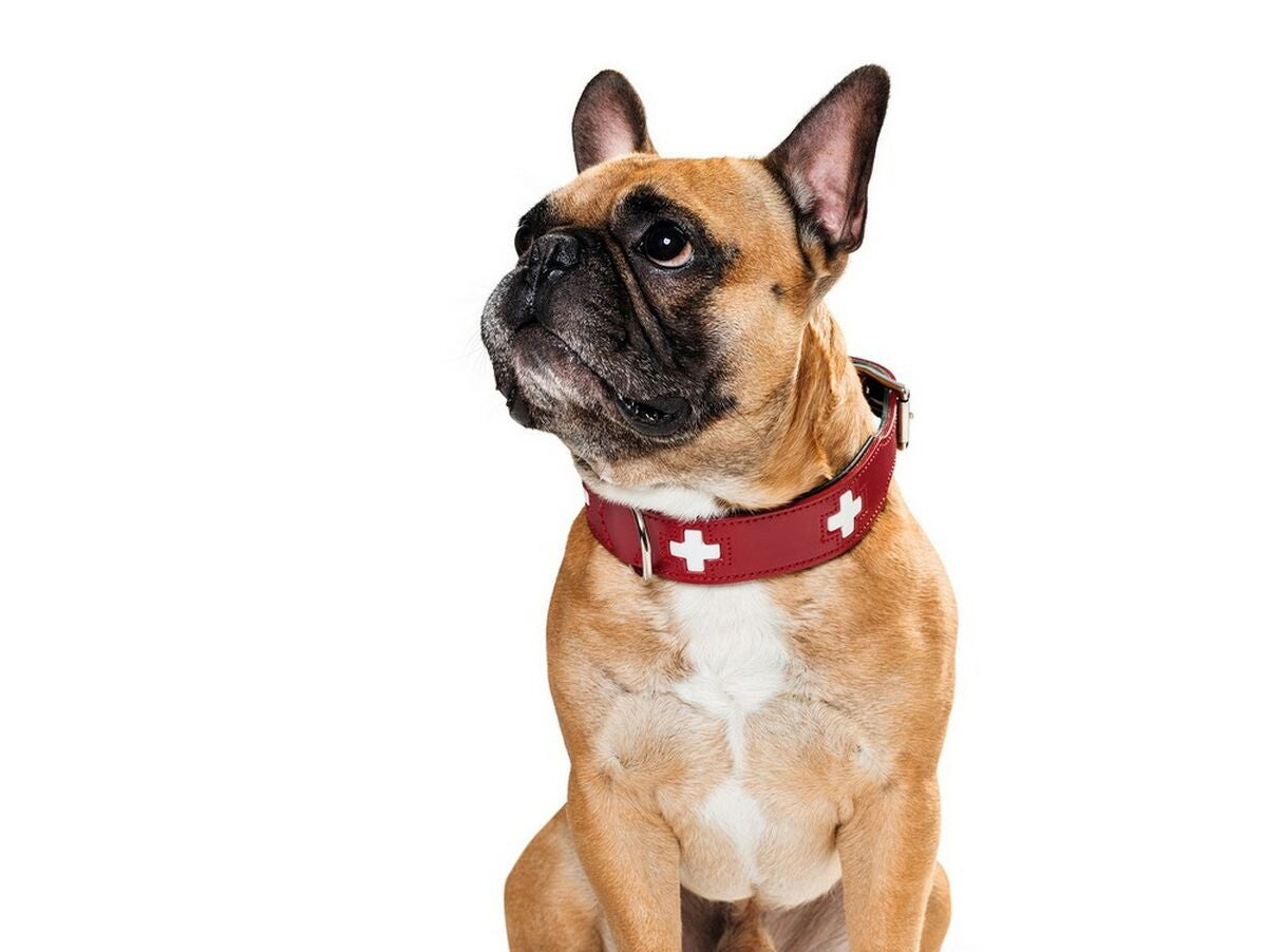 V11H818061E7BEF37EE27E1ABCDC812ABB24R3618751P4