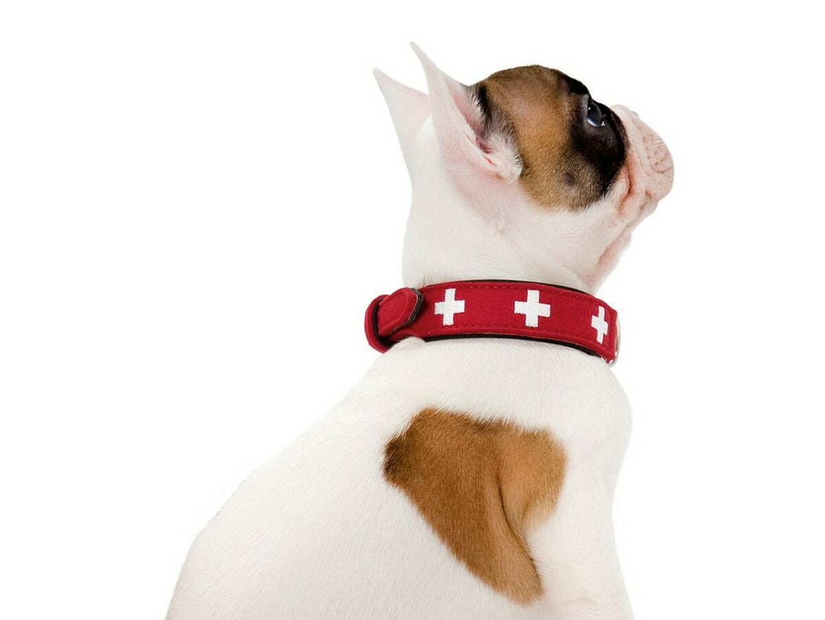 V11H53D21272B9565901822D322AF93941A6R3618753P5