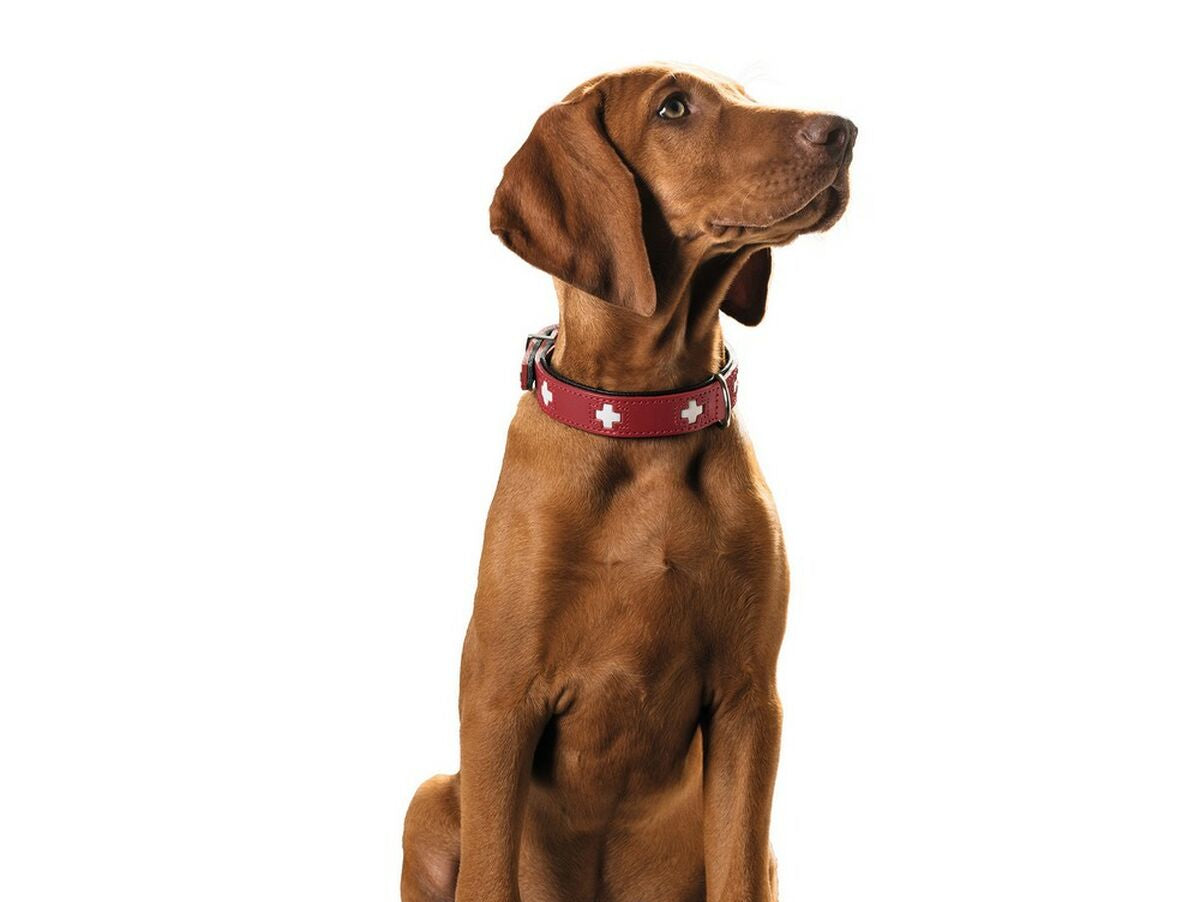 V10H4E8EB68C6D05DF177EC14FE6150A087AR5590761P3