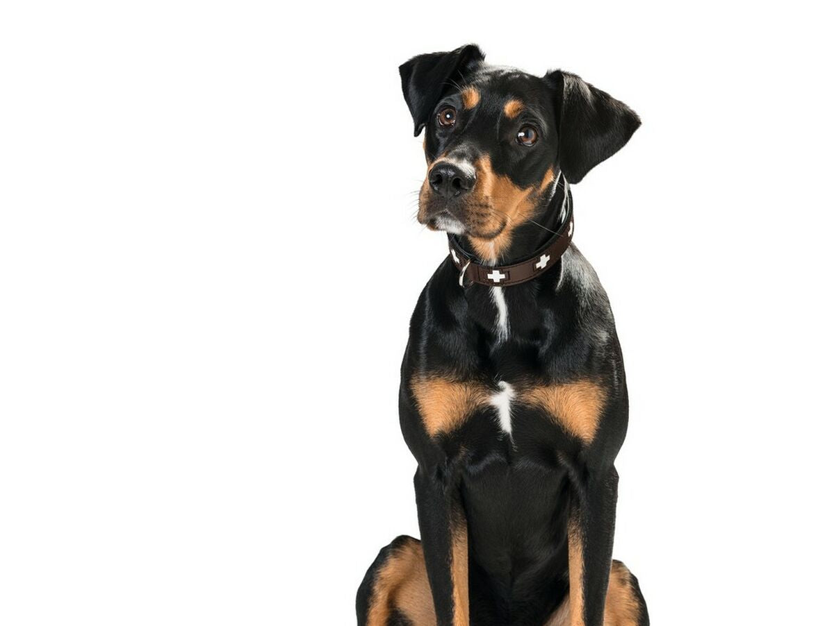 V11H10D7F421F8FB187780DF77665CFC53C8R3618691P4