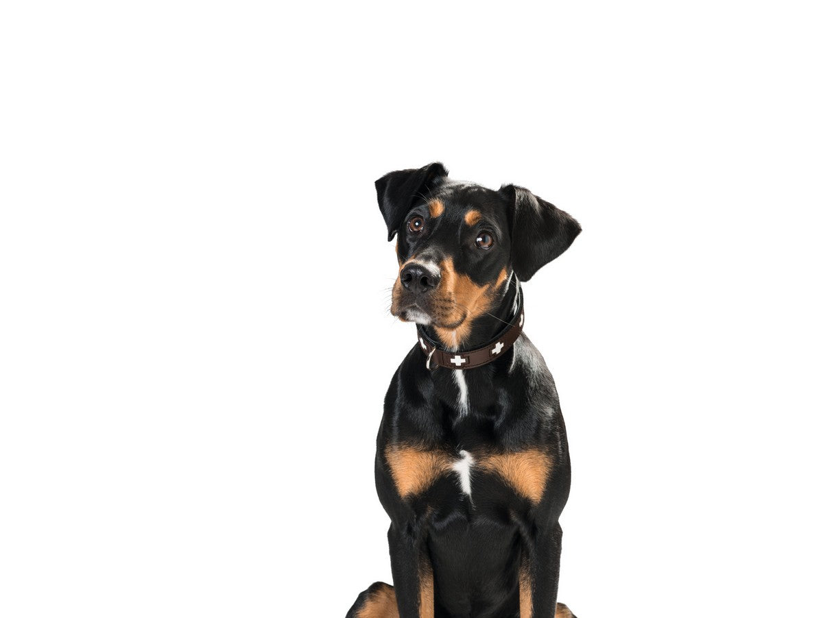 V10H06D5A6527873FE9369BA52967598DBFFR1561421P4