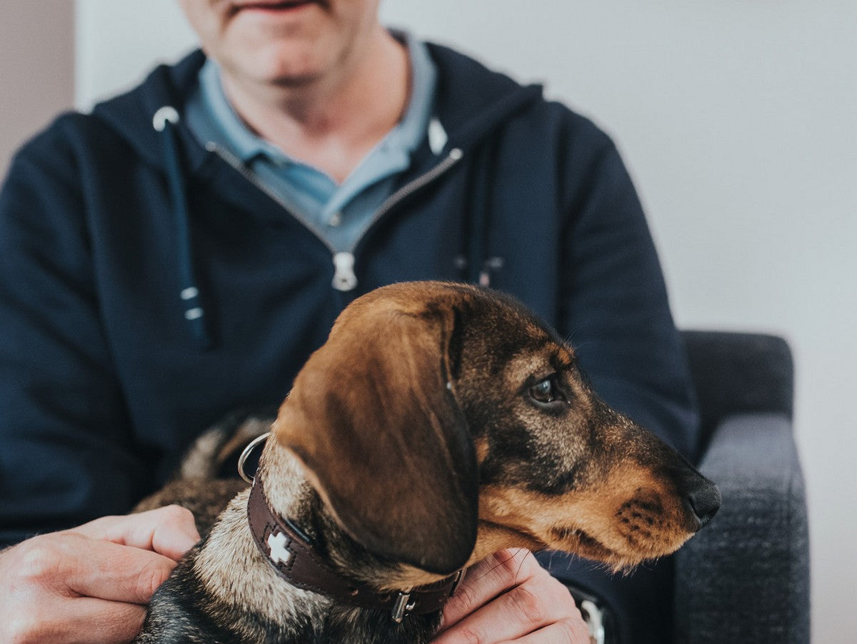 V11H48FC7D97D85270DB628CE284A48806ABR4586470P5