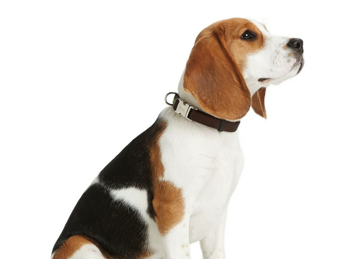 V10H61BD9D68690169E0B4D38875696D4B7ER3943645P2