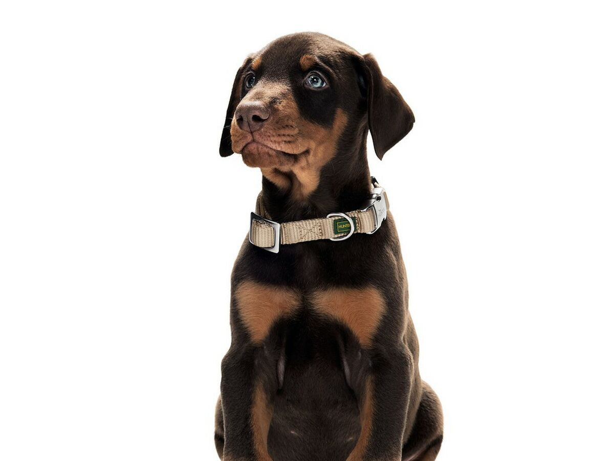 V10H2363A8588ECB826C33C2BF4D709D5E29R6842623P2