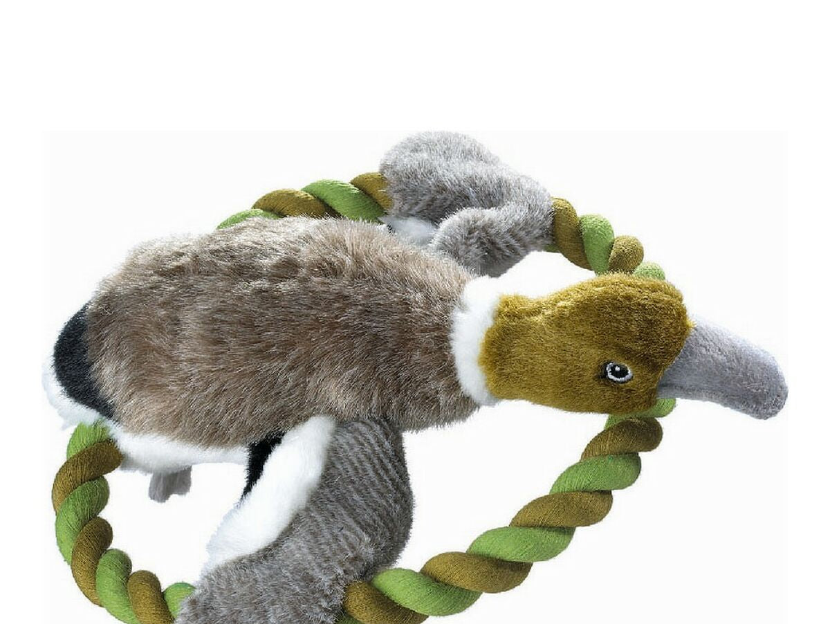 V11HAD34D5A7FC8FF85A3EE1235A9A6BDEF5R5585057P1