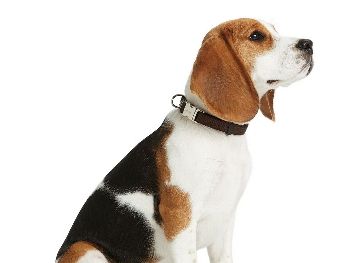 V11H4DE31FE0CDD61ED553BC3D00435A3DFFR3618512P3