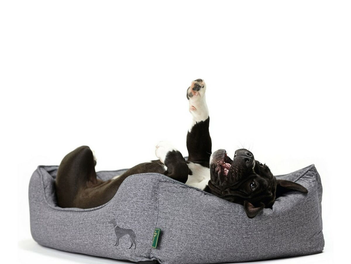 V11H9FA6F947B8E344C2C04B8C4DFF07DD70R3618725P4