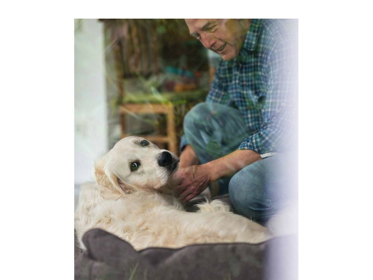 V11HA066938381448F9D138BD2FD1C1C7995R3618777P3