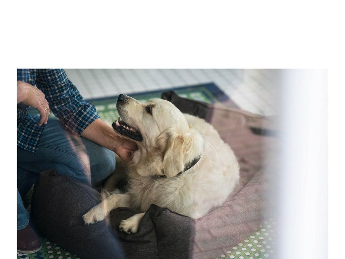 V9H6A08B998337791268EAEB326CE34E626R3618502P2